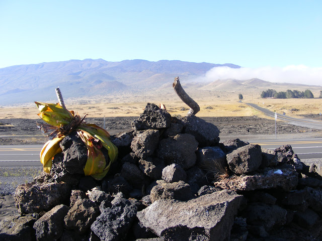Offering at the base of Maunakea